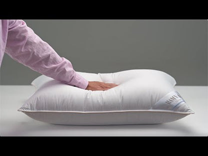 goose down pillow